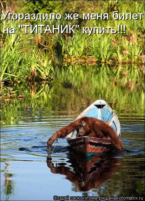 Котоматрица: Угораздило же меня билет на "ТИТАНИК" купить!!!