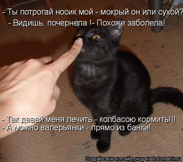 - Ты потрогай носик мой - мокрый он или сухой? - Видишь, почернела !- Похоже заболела! - Так давай ме... Котоматрица: - Ты потрогай носик мой - мокрый он или сухой? - Видишь, почернела !- Похоже заболела! - Так давай меня лечить - колбасою кормить!!! - А можно валер