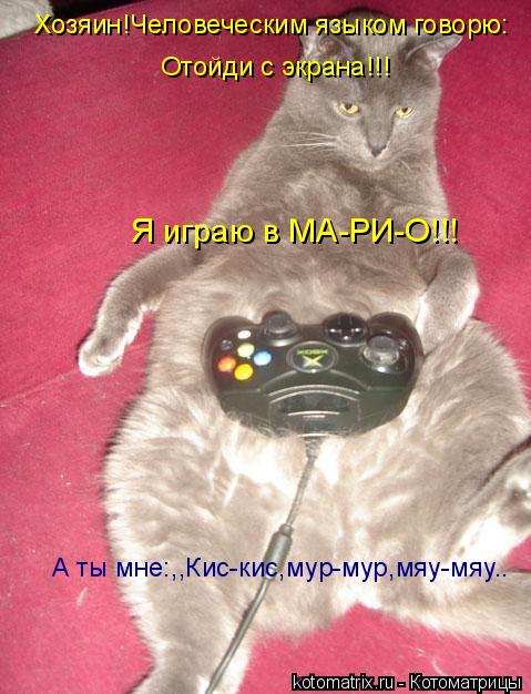 Хозяин!Человеческим языком говорю: Отойди с экрана!!! Я играю в МА-РИ-О!!! А ты мне:,,Кис-кис,мур-мур... Котоматрица: Хозяин!Человеческим языком говорю: Отойди с экрана!!! Я играю в МА-РИ-О!!! А ты мне:,,Кис-кис,мур-мур,мяу-мяу..