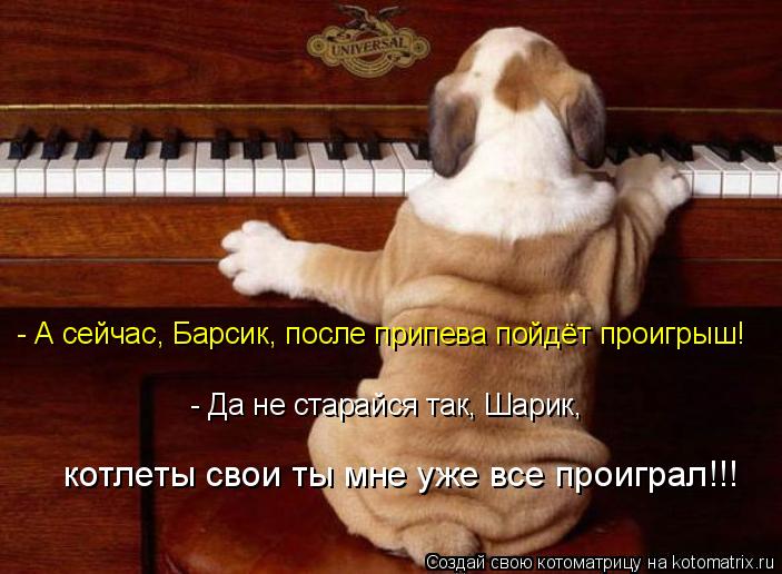 - А сейчас, Барсик, после припева пойдёт проигрыш! - Да не старайся так, Шарик, котлеты свои ты мне у... Котоматрица: - А сейчас, Барсик, после припева пойдёт проигрыш! - Да не старайся так, Шарик, котлеты свои ты мне уже все проиграл!!!