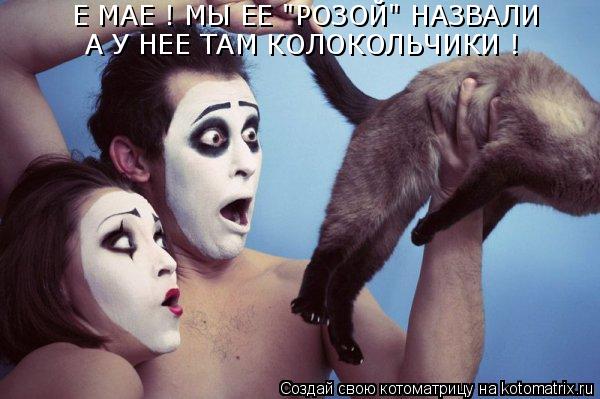 Е МАЕ ! МЫ ЕЕ "РОЗОЙ" НАЗВАЛИ А У НЕЕ ТАМ КОЛОКОЛЬЧИКИ !... Котоматрица: Е МАЕ ! МЫ ЕЕ "РОЗОЙ" НАЗВАЛИ А У НЕЕ ТАМ КОЛОКОЛЬЧИКИ !