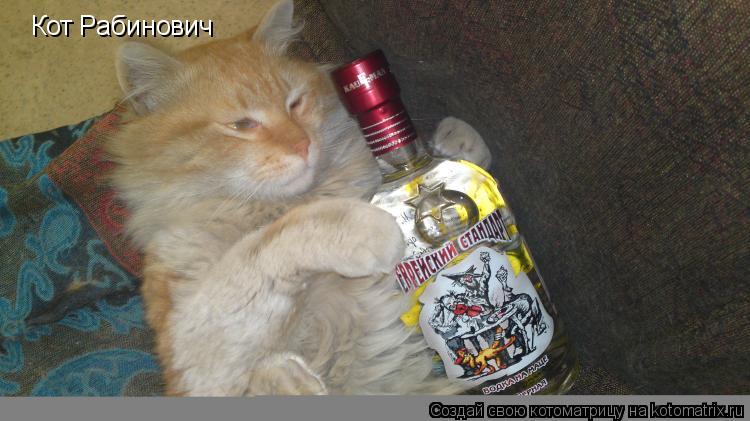Кот Рабинович... Котоматрица: Кот Рабинович