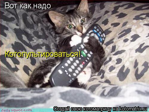 Вот как надо Котопультироваться!... Котоматрица: Вот как надо Котопультироваться!