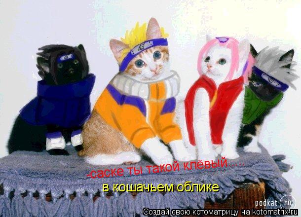 -саске ты такой клёвый..... в кошачьем облике... Котоматрица: -саске ты такой клёвый..... в кошачьем облике