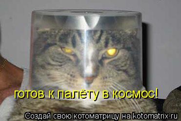 готов к палёту в космос!... Котоматрица: готов к палёту в космос!