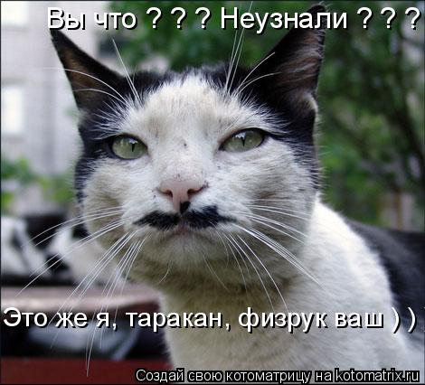 Вы что ? ? ? Неузнали ? ? ? Это же я, таракан, физрук ваш ) ) )... Котоматрица: Вы что ? ? ? Неузнали ? ? ? Это же я, таракан, физрук ваш ) ) )