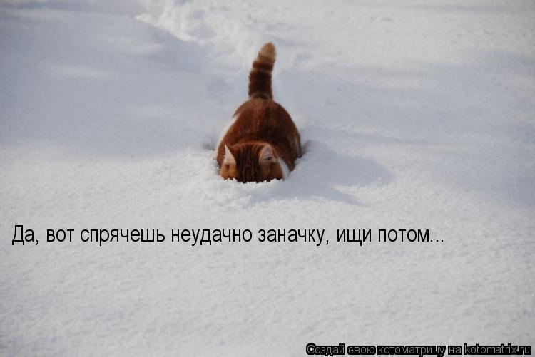 Да, вот спрячешь неудачно заначку, ищи потом...... Котоматрица: Да, вот спрячешь неудачно заначку, ищи потом...