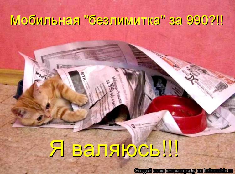 Мобильная "безлимитка" за 990?!! Я валяюсь!!!... Котоматрица: Мобильная "безлимитка" за 990?!! Я валяюсь!!!