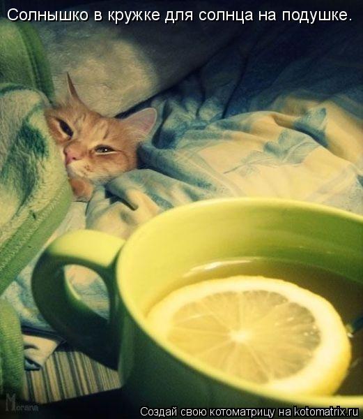Солнышко в кружке для солнца на подушке.... Котоматрица: Солнышко в кружке для солнца на подушке.