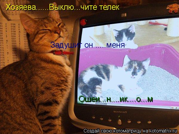Хозяева......Выклю...чите телек Задушит он .....меня Ошеи...н....ик....о...м... Котоматрица: Хозяева......Выклю...чите телек Задушит он .....меня Ошеи...н....ик....о...м