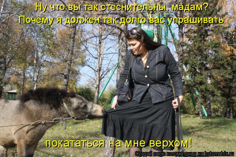 Ну что вы так стеснительны, мадам? Почему я должен так долго вас упрашивать покататься на мне верхом!... Котоматрица: Ну что вы так стеснительны, мадам? Почему я должен так долго вас упрашивать покататься на мне верхом!