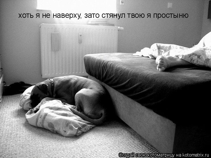 хоть я не наверху, зато стянул твою я простыню... Котоматрица: хоть я не наверху, зато стянул твою я простыню