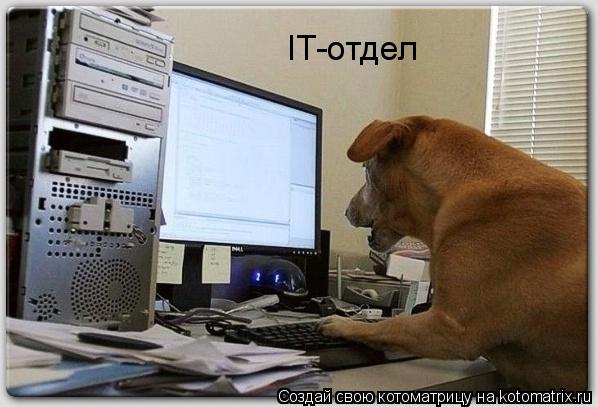 IT-отдел... Котоматрица: IT-отдел