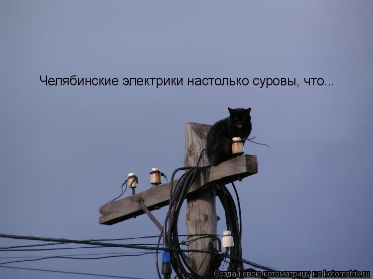 Челябинские электрики настолько суровы, что...... Котоматрица: Челябинские электрики настолько суровы, что...