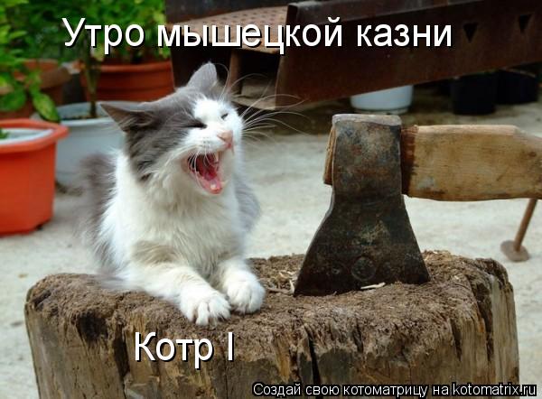 Утро мышецкой казни Котр I... Котоматрица: Утро мышецкой казни Котр I