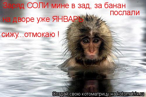 послали на дворе уже ЯНВАРЬ сижу...отмокаю ! Заряд СОЛИ мине в зад, за банан... Котоматрица: послали на дворе уже ЯНВАРЬ сижу...отмокаю ! Заряд СОЛИ мине в зад, за банан