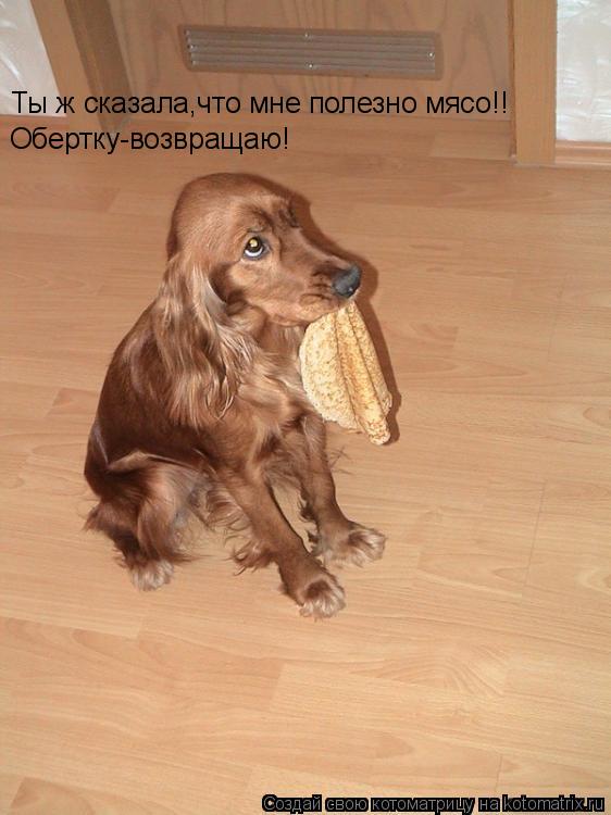 Ты ж сказала,что мне полезно мясо!! Обертку-возвращаю!... Котоматрица: Ты ж сказала,что мне полезно мясо!! Обертку-возвращаю!