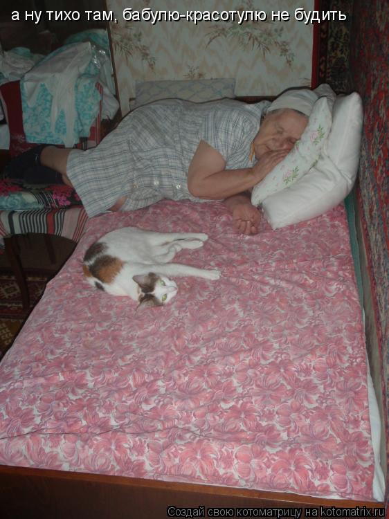 а ну тихо там, бабулю-красотулю не будить... Котоматрица: а ну тихо там, бабулю-красотулю не будить