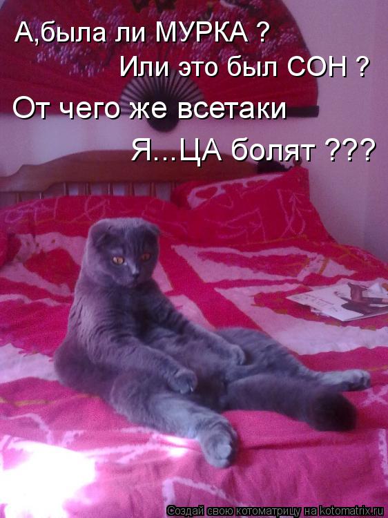А,была ли МУРКА ? Или это был СОН ? От чего же всетаки Я...ЦА болят ???... Котоматрица: А,была ли МУРКА ? Или это был СОН ? От чего же всетаки Я...ЦА болят ???