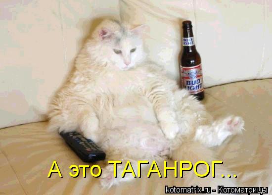 А это ТАГАНРОГ...... Котоматрица: А это ТАГАНРОГ...