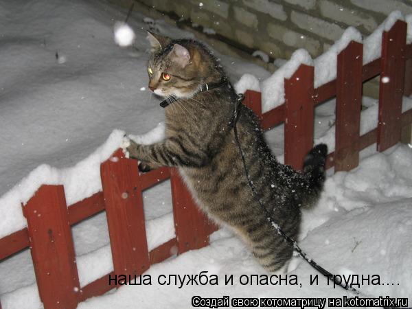 наша служба и опасна, и трудна....... Котоматрица: наша служба и опасна, и трудна....
