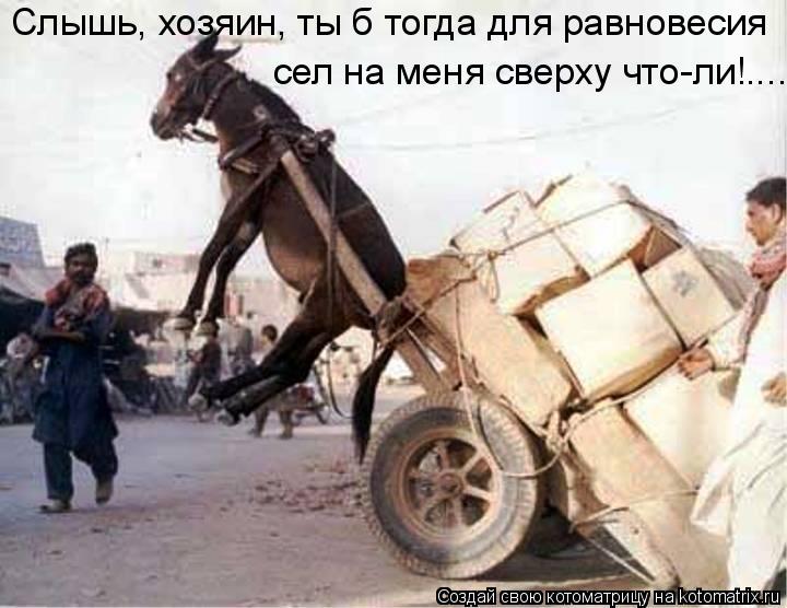 Слышь, хозяин, ты б тогда для равновесия сел на меня сверху что-ли!....... Котоматрица: Слышь, хозяин, ты б тогда для равновесия сел на меня сверху что-ли!....