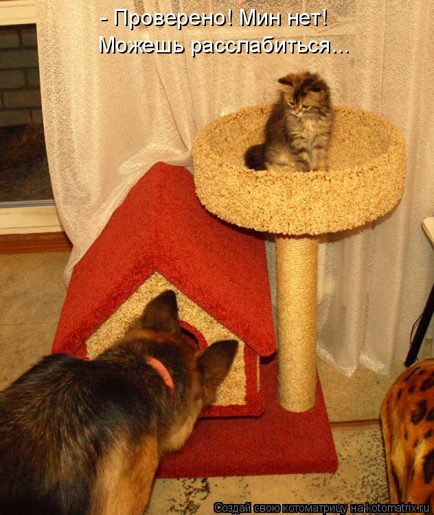 - Проверено! Мин нет! Можешь расслабиться...... Котоматрица: - Проверено! Мин нет! Можешь расслабиться...