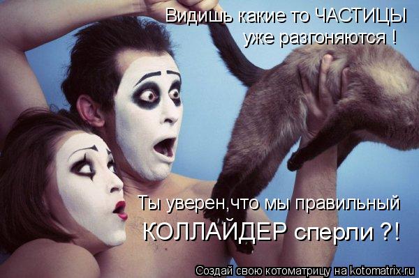 Ты уверен,что мы правильный КОЛЛАЙДЕР сперли ?! уже разгоняются ! Видишь какие то ЧАСТИЦЫ... Котоматрица: Ты уверен,что мы правильный КОЛЛАЙДЕР сперли ?! уже разгоняются ! Видишь какие то ЧАСТИЦЫ