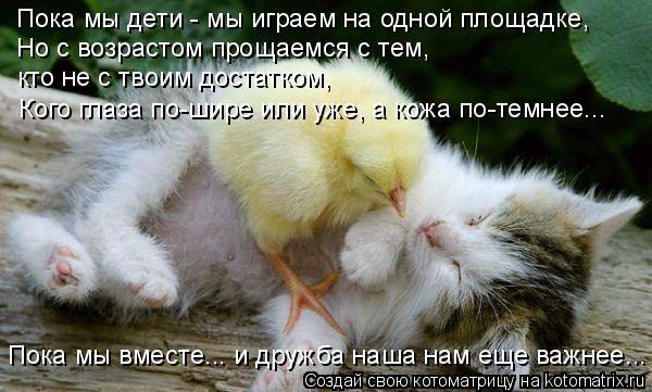 Пока мы дети - мы играем на одной площадке, Но с возрастом прощаемся с тем, кто не с твоим достатком... Котоматрица: Пока мы дети - мы играем на одной площадке, Но с возрастом прощаемся с тем, кто не с твоим достатком, Кого глаза по-шире или уже, а кожа по-темн