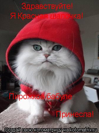 Здравствуйте! Я Красная шапочка! Пирожков бабуле Принесла!... Котоматрица: Здравствуйте! Я Красная шапочка! Пирожков бабуле Принесла!