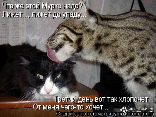 Что же этой Мурке надо? Лижет..., лижет до упаду... Третий день вот так хлопочет... От меня чего-то х... Котоматрица: Что же этой Мурке надо? Лижет..., лижет до упаду... Третий день вот так хлопочет... От меня чего-то хочет...