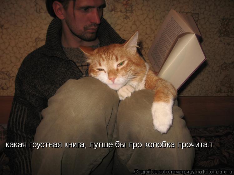 какая грустная книга, лутше бы про колобка прочитал... Котоматрица: какая грустная книга, лутше бы про колобка прочитал