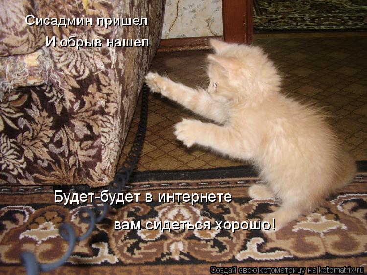 Сисадмин пришел И обрыв нашел Будет-будет в интернете вам сидеться хорошо!... Котоматрица: Сисадмин пришел И обрыв нашел Будет-будет в интернете вам сидеться хорошо!