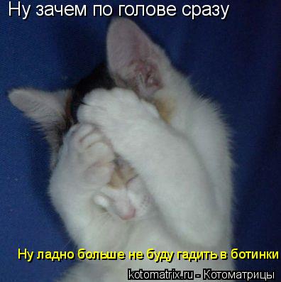 Ну зачем по голове сразу Ну ладно больше не буду гадить в ботинки... Котоматрица: Ну зачем по голове сразу Ну ладно больше не буду гадить в ботинки