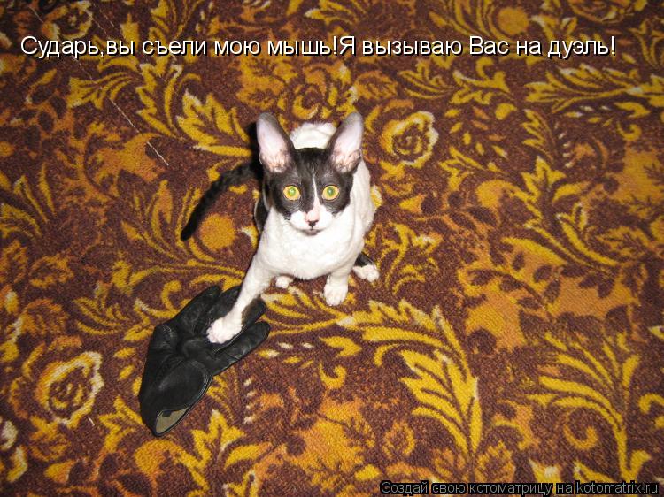 Сударь, Вы обгадили кончик моей шпаги! Сударь,вы съели мою мышь!Я вызываю Вас на дуэль!... Котоматрица: Сударь, Вы обгадили кончик моей шпаги! Сударь,вы съели мою мышь!Я вызываю Вас на дуэль!