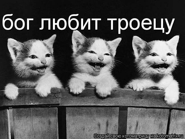 бог любит троецу... Котоматрица: бог любит троецу