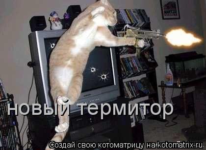 новый термитор... Котоматрица: новый термитор