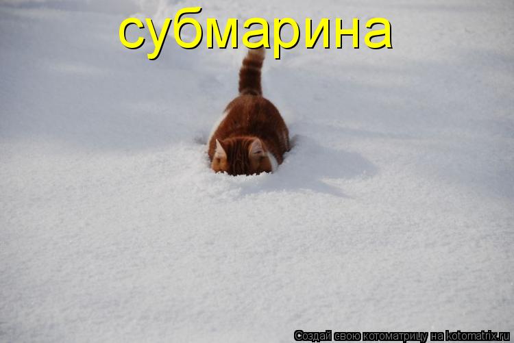 субмарина... Котоматрица: субмарина