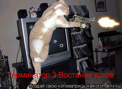 Терминатор 3 Востание котов... Котоматрица: Терминатор 3 Востание котов
