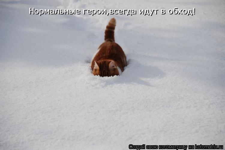 Нормальные герои,всегда идут в обход!... Котоматрица: Нормальные герои,всегда идут в обход!