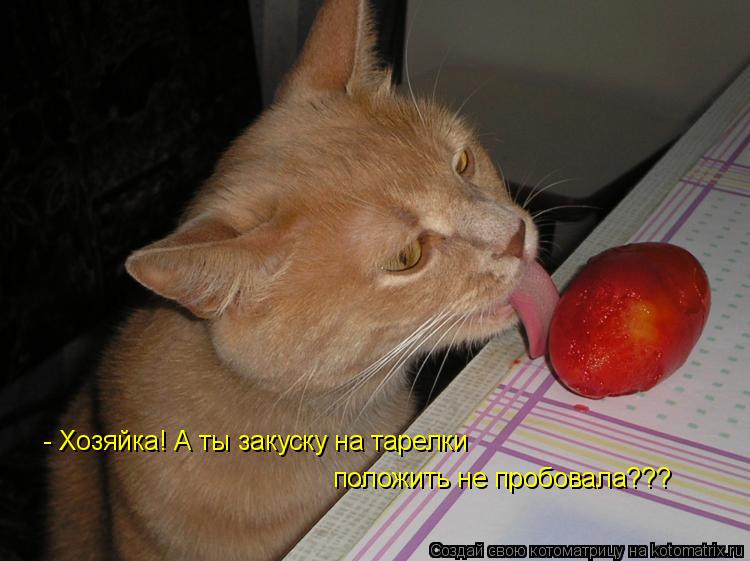 - Хозяйка! А ты закуску на тарелки положить не пробовала???... Котоматрица: - Хозяйка! А ты закуску на тарелки положить не пробовала???