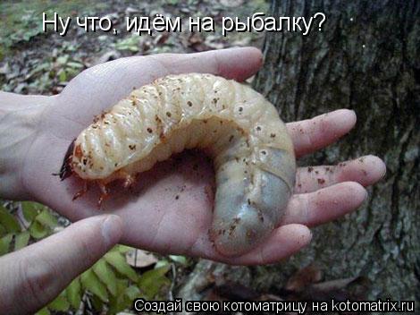Ну что, идём на рыбалку?... Котоматрица: Ну что, идём на рыбалку?