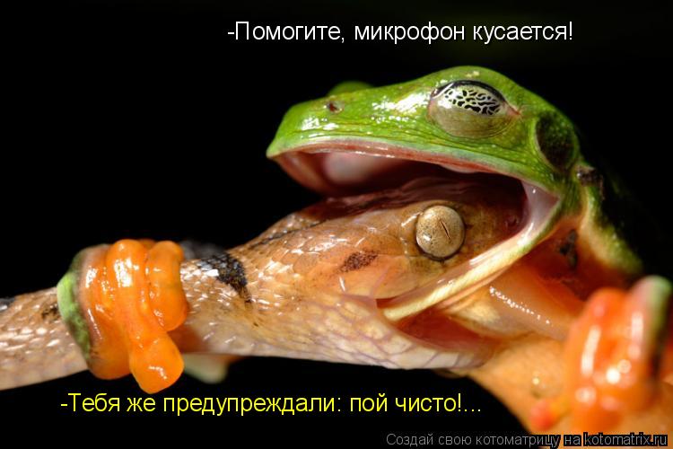 -Тебя же предупреждали: пой чисто!... -Помогите, микрофон кусается!... Котоматрица: -Тебя же предупреждали: пой чисто!... -Помогите, микрофон кусается!