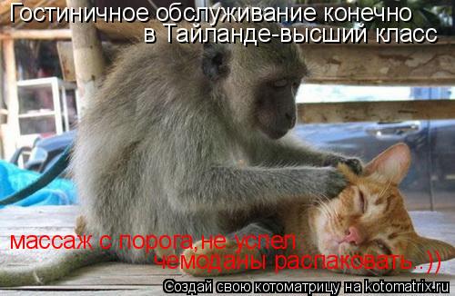 Гостиничное обслуживание конечно в Тайланде-высший класс массаж с порога,не успел чемоданы распаковат... Котоматрица: Гостиничное обслуживание конечно в Тайланде-высший класс массаж с порога,не успел чемоданы распаковать..))
