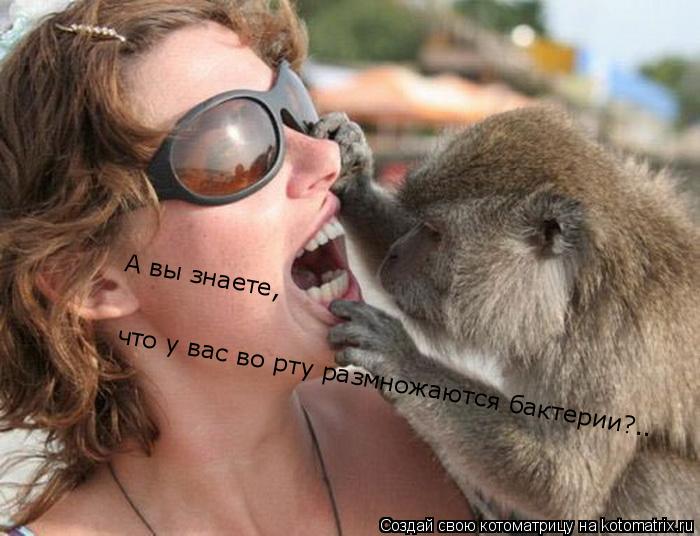 что у вас во рту размножаются бактерии?.. А вы знаете,... Котоматрица: что у вас во рту размножаются бактерии?.. А вы знаете,