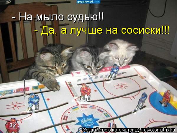 Котоматрица: - На мыло судью!! - Да, а лучше на сосиски!!!