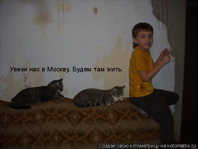 Увези нас в Москву. Будем там жить.... Котоматрица: Увези нас в Москву. Будем там жить.