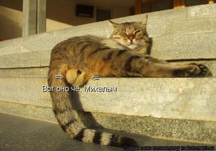 => <= Вот оно чё, Михалыч... Котоматрица: => <= Вот оно чё, Михалыч