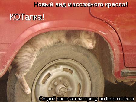 Новый вид массажного кресла! КОТалка!... Котоматрица: Новый вид массажного кресла! КОТалка!