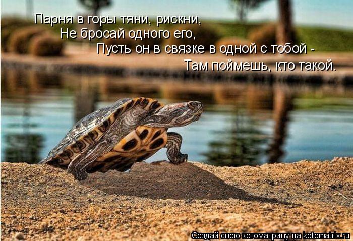 Парня в горы тяни, рискни, Не бросай одного его, Пусть он в связке в одной с тобой - Там поймешь, кто... Котоматрица: Парня в горы тяни, рискни, Не бросай одного его, Пусть он в связке в одной с тобой - Там поймешь, кто такой.